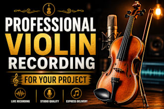 record professional violin part for your project