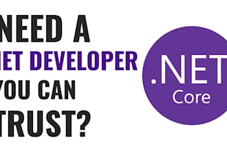 build a professional asp dotnet core web app or rest API