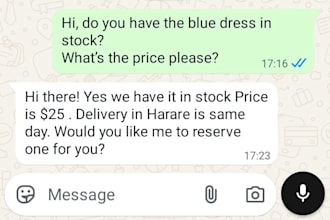 be your whatsapp customer service and virtual assistant
