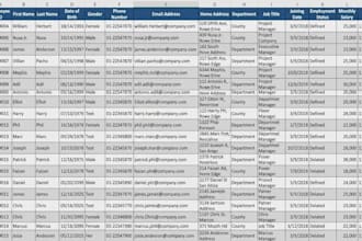 manage all of your office data on excel sheet