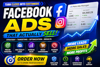 be your facebook ads expert for leads sales and growth
