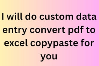 do custom data entry convert pdf to excel copypaste for you