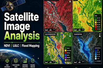 perform satellite image analysis and remote sensing