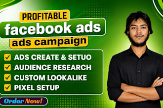 run facebook ads, instagram ads and meta ads campaigns