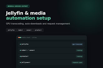 do your jellyfin media server setup