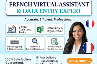 be your french virtual assistant and data entry expert