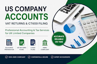 do US individual tax filling ,1040 tax return,and tax and tax preparation fast