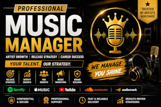 create a professional music release strategy
