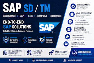 solve sap sd tm issues abap debugging, and  idoc requirements