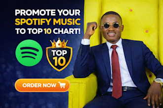 promote spotify music to chart on top 10 spotify chart in USA