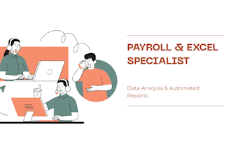 be your expert payroll specialist and excel data analyst