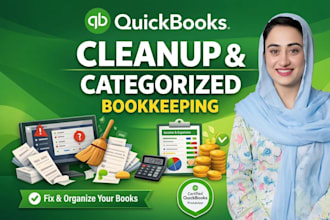do professional quickbooks online cleanup and categorization