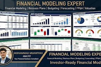 write business plan, dynamic financial modeling and forecast budget