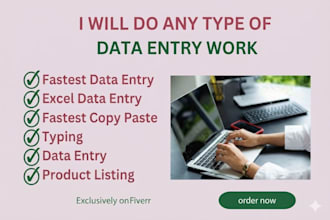 do professional data entry and virtual assistant task