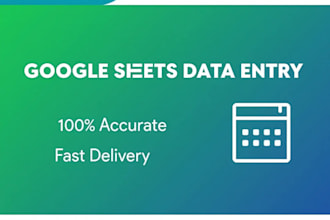 data entry in google sheets fast delivery