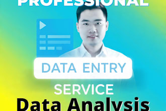 advance excel service professional data entry error free