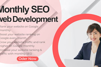 monthly seo web development