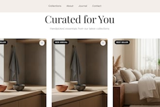 develop a modern website