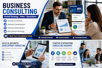 provide business consulting, growth strategy, and operations advice