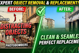 provide expert photo retouching and seamless object removal