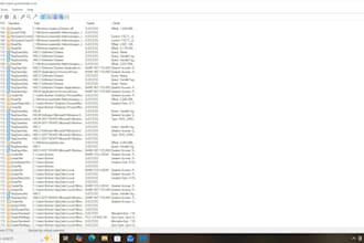 perform dynamic malware analysis
