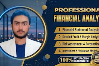 provide professional financial consulting and forecasting for your business