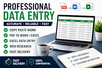 do data enrty, copy paste , and PDF to word conversion