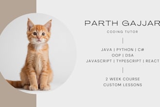 teach you core programming concepts