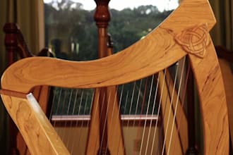 record violin, viola, cello, fiddle, double bass, erhu, rebab and harp for you