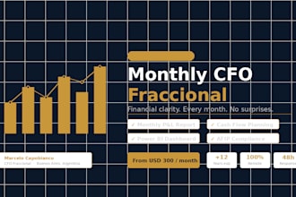 be your fractional cfo and deliver monthly financial reports and strategy