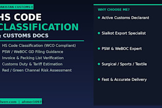 classify hs codes and handle pakistan custom docs