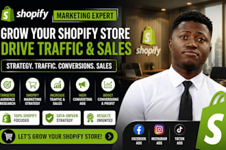 create facebook ads, instagram ads and tiktok ads for shopify stores