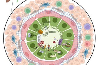 create scientific illustrations for your research