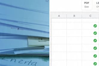 do accurate excel data entry and spreadsheet cleanup