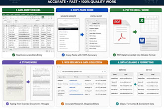 professionally do data entry, copy paste, excel graph and charts