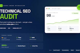 do a technical SEO audit for wordpress websites