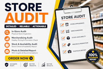do a professional shopify store audit
