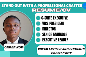 write and rebrand executive cv for senior leaders