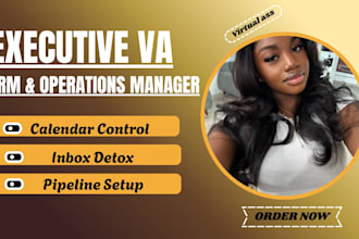 executive virtual assistant and CRM manager operations va engagement assistant