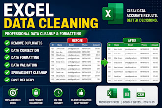 do excel data cleaning, formatting and data cleanup