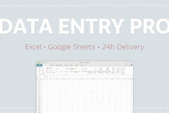 accurate data entry and excel spreadsheet work fast