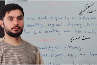 teach english and persain languages as professional tutor