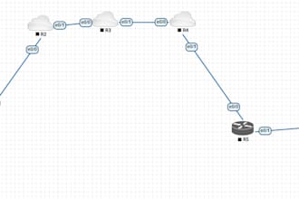 configure and troubleshoot cisco networks professionally