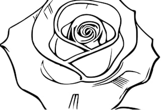 draw unique full sleeve tattoo concept