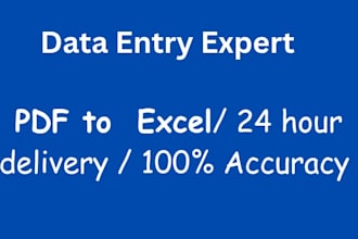 do data entry ,excel , copy paste , work accurately