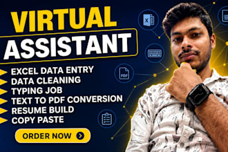 do excel data entry, data cleaning, and ms word formatting