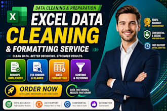 do professional excel data cleaning and data formatting