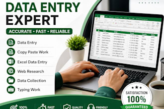 do accurate data entry,copy paste and excel data entry tasks