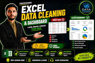 professionally messy,dirty  excel data cleaning, formatting and organize