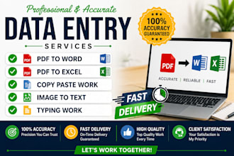 do accurate data entry, PDF to word, typing work, PDF to excel, copy paste work